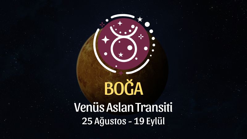 Boğa Burcu: Venüs Aslan Transiti Yorumu - 25 Ağustos / 19 Eylül