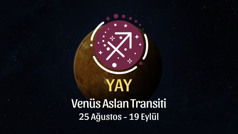 Yay Burcu: Venüs Aslan Transiti Yorumu - 25 Ağustos / 19 Eylül