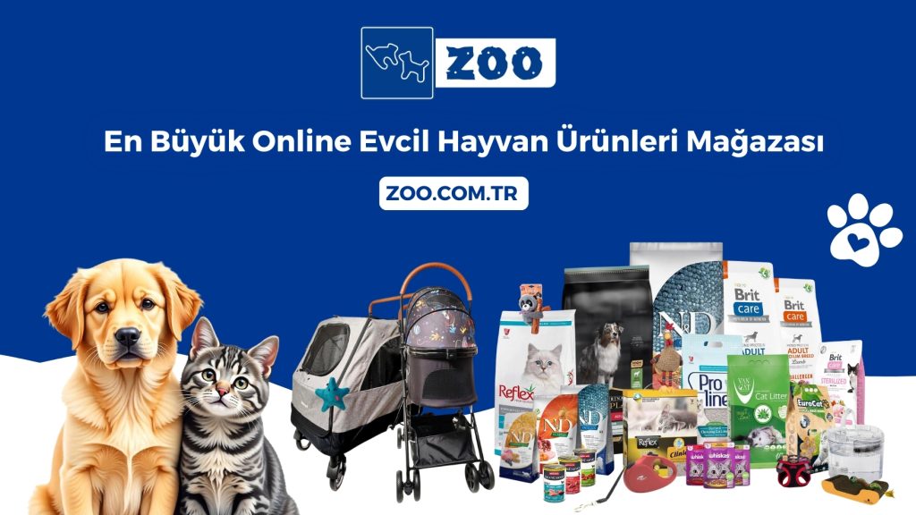 Evcil Dostlar İçin Köpek Maması Seçenekleri