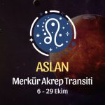 Aslan Burcu: Merkür Akrep Transiti Burç Yorumları