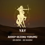 Yay Burcu: 2025 Akrep Sezonu Yorumu