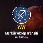 Yay Burcu: Merkür Akrep Transiti Burç Yorumları