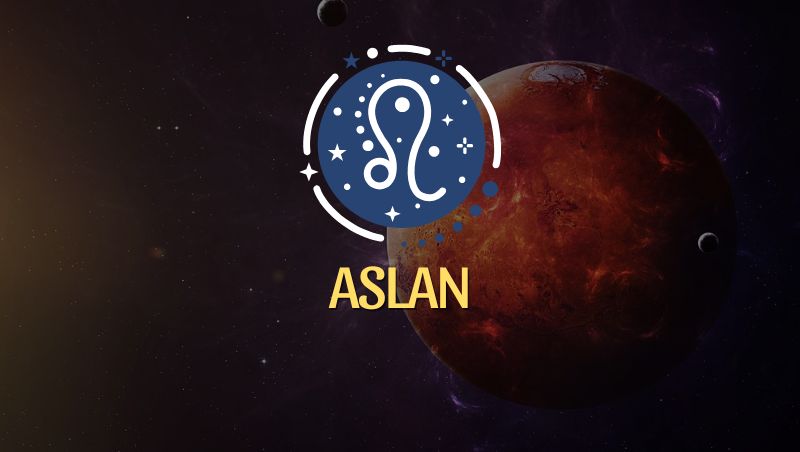 Aslan Burcu: Merkür Retrosu Yorumu, 7 - 29 Kasım