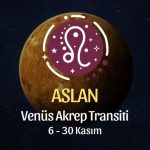 Aslan Burcu: Venüs Akrep Transiti Burç Yorumu - 6 Kasım 2025