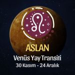 Aslan Burcu: Venüs Yay Transiti Yorumu, 30 Kasım 2025