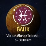 Balık Burcu: Venüs Akrep Transiti Burç Yorumu - 6 Kasım 2025