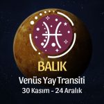 Balık Burcu: Venüs Yay Transiti Yorumu, 30 Kasım 2025