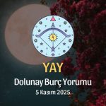 Yay Burcu: Dolunay Yorumu 5 Kasım 2025