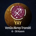 Yay Burcu: Venüs Akrep Transiti Burç Yorumu - 6 Kasım 2025