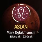 Aslan Burcu: Mars Oğlak Transiti Yorumu - 15 Aralık 2025