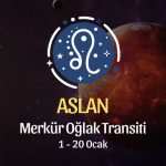 Aslan Burcu: Merkür Oğlak Transiti Yorumu, 1 - 20 Ocak