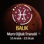 Balık Burcu: Mars Oğlak Transiti Yorumu - 15 Aralık 2025