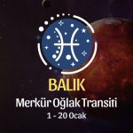 Balık Burcu: Merkür Oğlak Transiti Yorumu, 1 - 20 Ocak