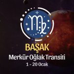 Başak Burcu: Merkür Oğlak Transiti Yorumu, 1 - 20 Ocak