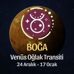 Boğa Burcu: Venüs Oğlak Transiti Burç Yorumu - 24 Aralık 2025