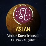 Aslan Burcu: Venüs Kova Transiti Burç Yorumu - 17 Ocak 2026