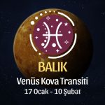 Balık Burcu: Venüs Kova Transiti Burç Yorumu - 17 Ocak 2026