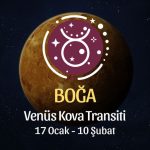 Boğa Burcu: Venüs Kova Transiti Burç Yorumu - 17 Ocak 2026