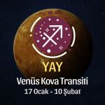 Yay Burcu: Venüs Kova Transiti Burç Yorumu - 17 Ocak 2026