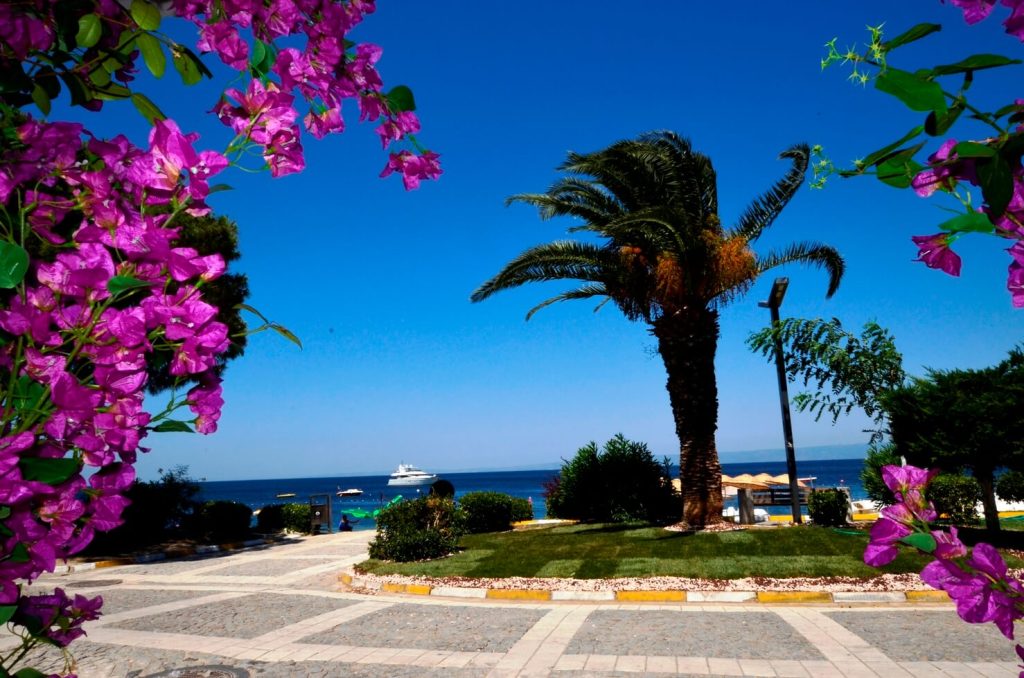 Avşa Adası Tatil Rehberi 2026