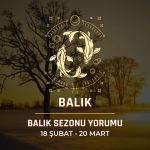 Balık Burcu: 2026 Balık Sezonu Yorumu