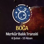 Boğa Burcu: Merkür Balık Transiti Burç Yorumu - 6 Şubat 2026