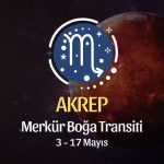 Akrep Burcu: Merkür Boğa Transiti Yorumu, 3 - 17 Mayıs