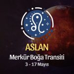 Aslan Burcu: Merkür Boğa Transiti Yorumu, 3 - 17 Mayıs