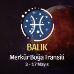 Balık Burcu: Merkür Boğa Transiti Yorumu, 3 - 17 Mayıs