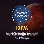 Kova Burcu: Merkür Boğa Transiti Yorumu, 3 - 17 Mayıs