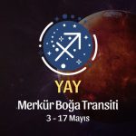 Yay Burcu: Merkür Boğa Transiti Yorumu, 3 - 17 Mayıs