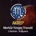 Akrep Burcu: Merkür Yengeç Transiti Yorumu