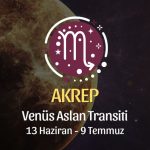 Akrep Burcu: Venüs Aslan Transiti Yorumu - 13 Haziran 2026