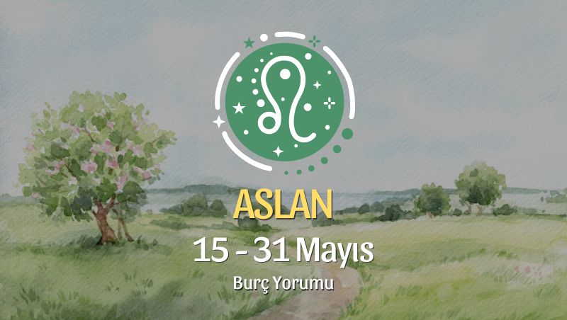 Aslan: Kariyerde Yeni Başlangıçlar
