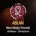 Aslan Burcu: Mars Boğa Transti Yorumu - 18 Mayıs 2026
