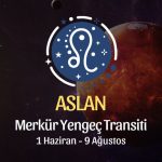 Aslan Burcu: Merkür Yengeç Transiti Yorumu
