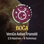 Boğa Burcu: Venüs Aslan Transiti Yorumu - 13 Haziran 2026