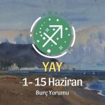 Yay Burcu: 1- 15 Haziran Burç Yorumu