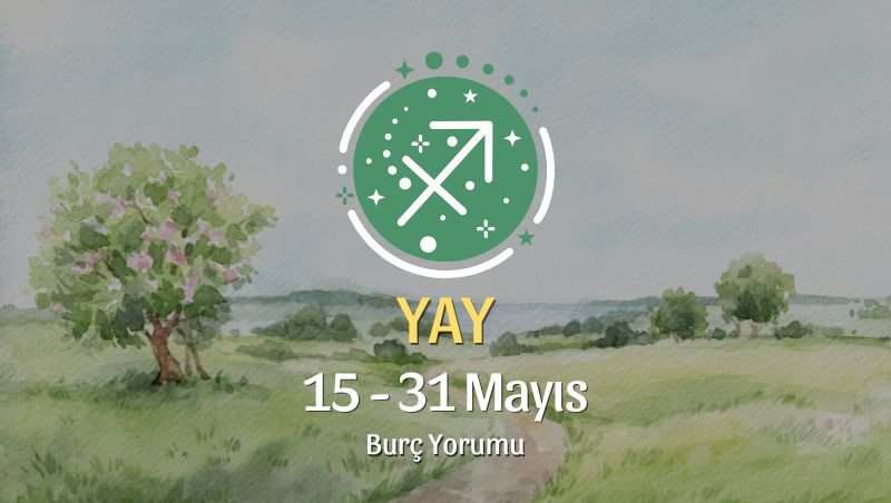 Yay: Günlük Hayatta Yeni Düzenler Kuruluyor