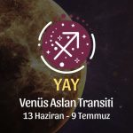 Yay Burcu: Venüs Aslan Transiti Yorumu - 13 Haziran 2026