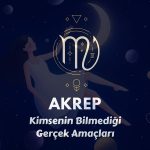 Akrep: Savunmasını Tamamen İndirebileceği Birini Bulmak