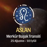 Aslan Burcu: Merkür Başak Transiti Yorumu, 25 Ağustos 2026