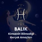 Balık: Hayallerindeki Büyüyü Gerçek Hayatta Bulmak
