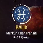 Balık Burcu: Merkür Aslan Transiti Yorumu, 9 - 25 Ağustos 2026