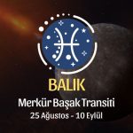 Balık Burcu: Merkür Başak Transiti Yorumu, 25 Ağustos 2026