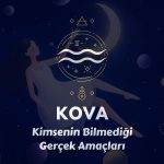 Kova: Bir Gün Herkesin Onu Neden Anlamadığını Anlaması