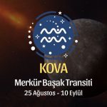 Kova Burcu: Merkür Başak Transiti Yorumu, 25 Ağustos 2026