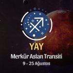 Yay Burcu: Merkür Aslan Transiti Yorumu, 9 - 25 Ağustos 2026