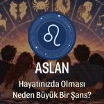 Aslan Burcunun Hayatınızda Olması Neden Büyük Bir Şans