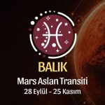 Balık Burcu: Mars Aslan Transiti Burç Yorumu